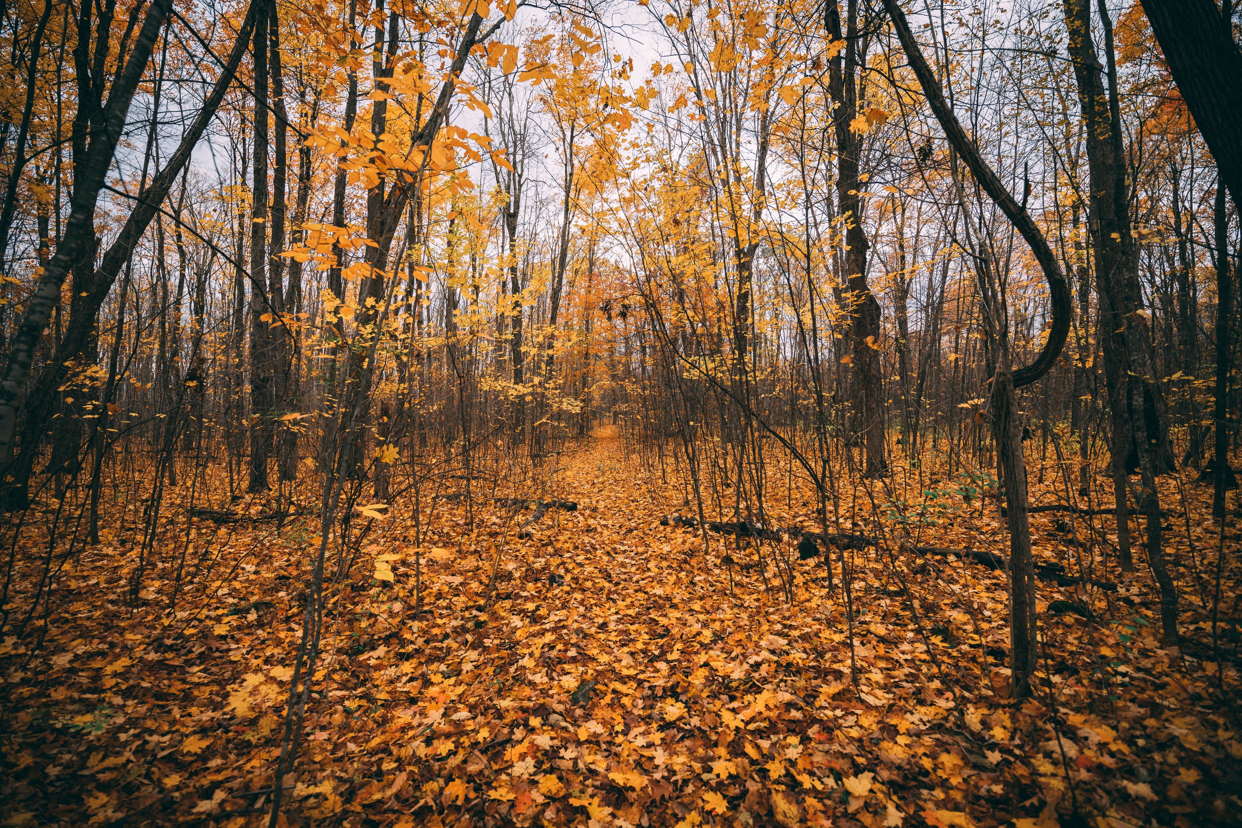 Embracing Nature: Small Lifestyle Changes That Make a&nbsp;Big Difference